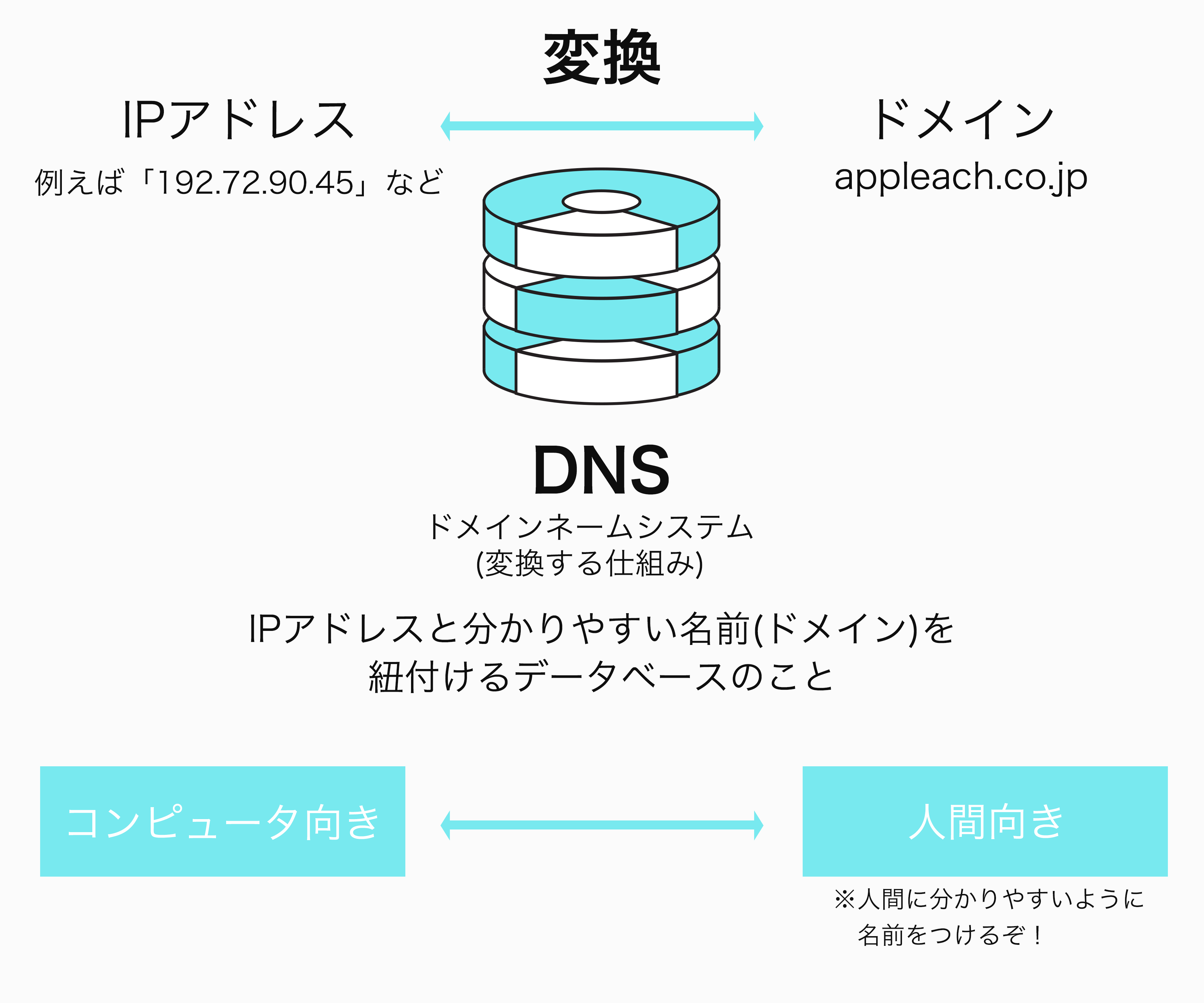 【Web担当は知っておこう】5分でざっくり分かるドメインのこと色々
